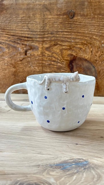 WhatsApp Image 2026-02-24 at 12.34.10.jpeg