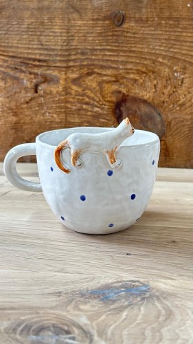 WhatsApp Image 2026-02-24 at 12.36.09.jpeg